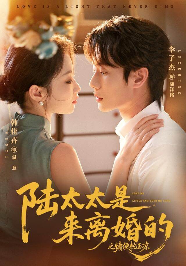 陸太太是來離婚的之慵便枕玉涼