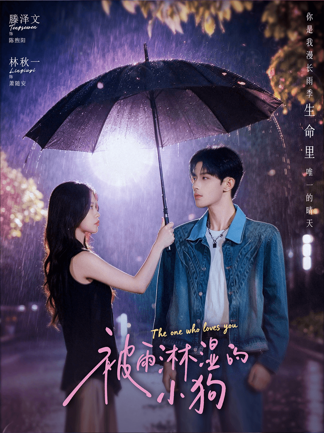 被雨淋溼的小狗