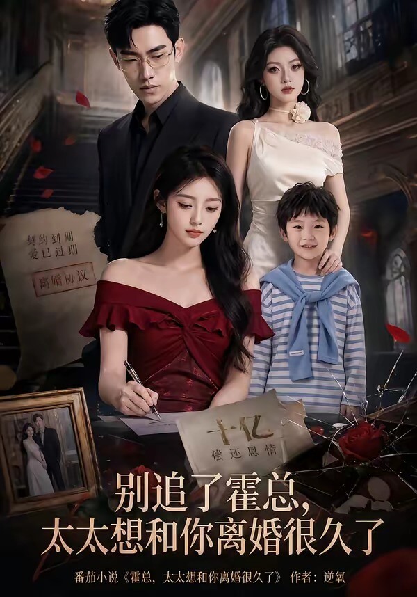 別追了霍總,太太想和你離婚很久了