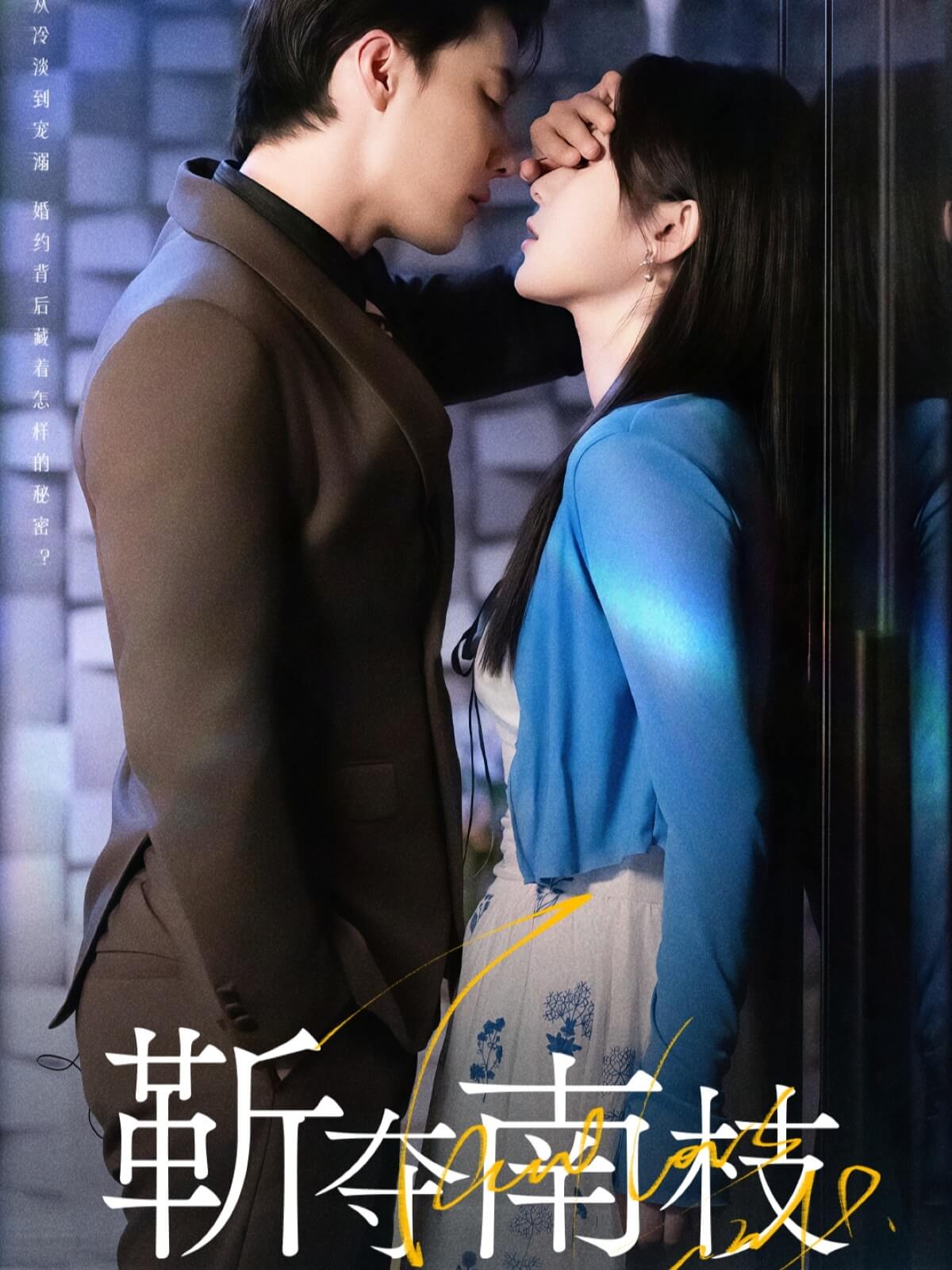 靳奪南枝＆甜欲肆吻
