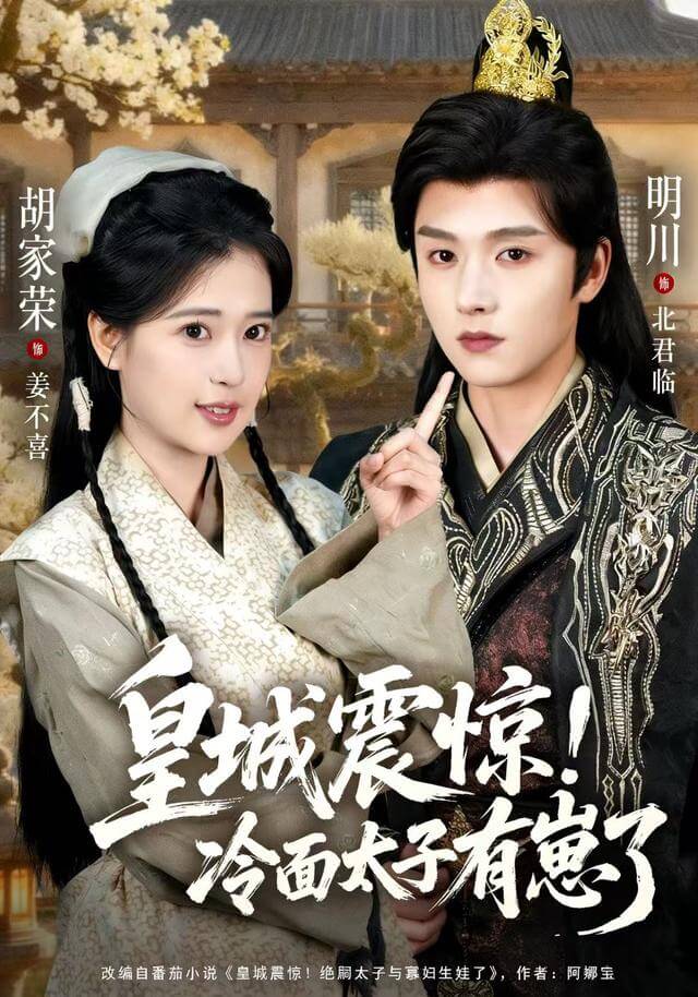 皇城震驚 ！冷麵太子有崽了