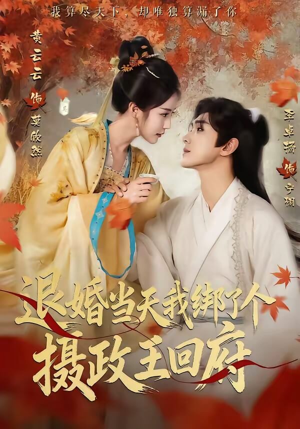 退婚當天我綁了個攝政王回府
