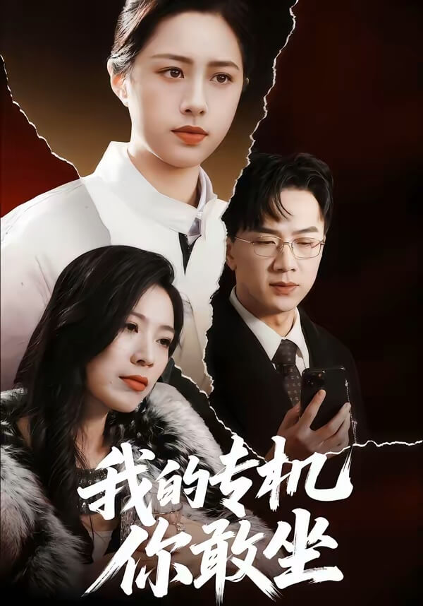 我的專機你敢坐