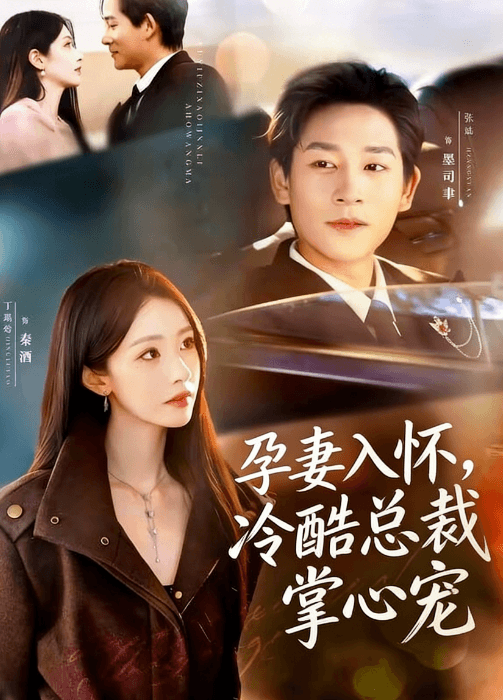 孕妻入懷，冷酷總裁掌心寵