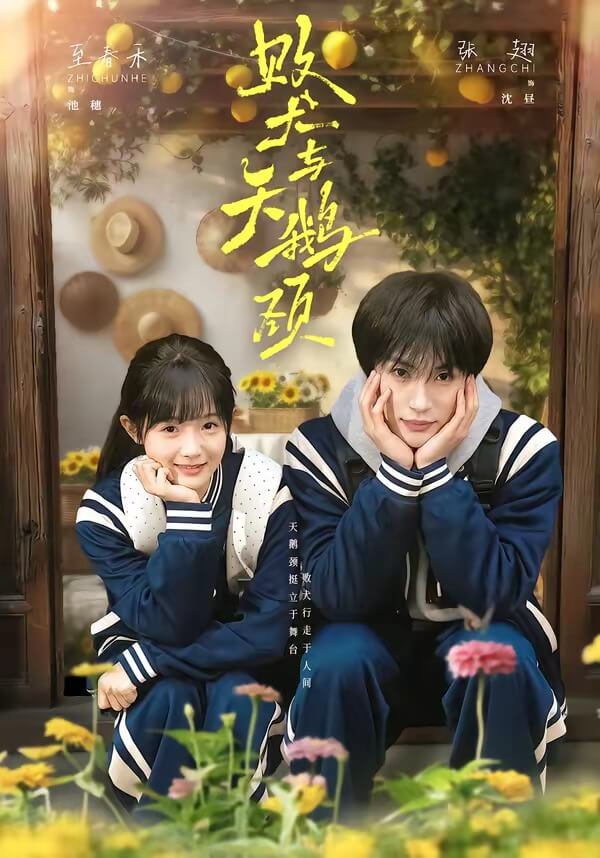 敗犬與天鵝頸