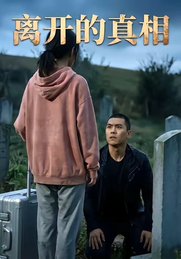 離開的真相