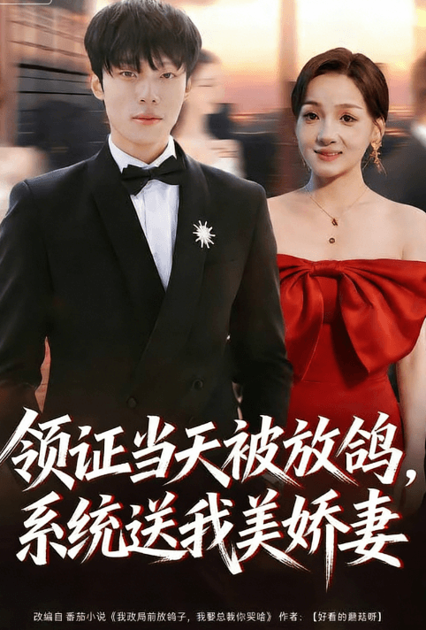 領證當天被放鴿，系統送我美嬌妻
