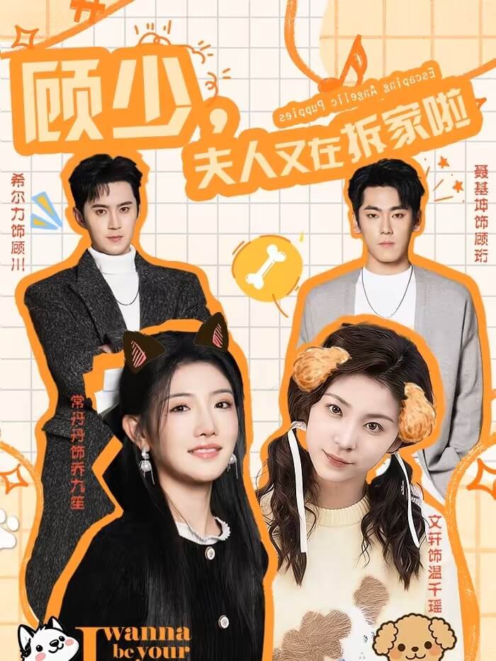 顧少,夫人又在拆家啦