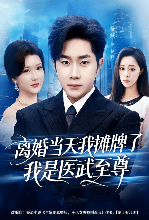 離婚當天我攤牌了我是醫武至尊