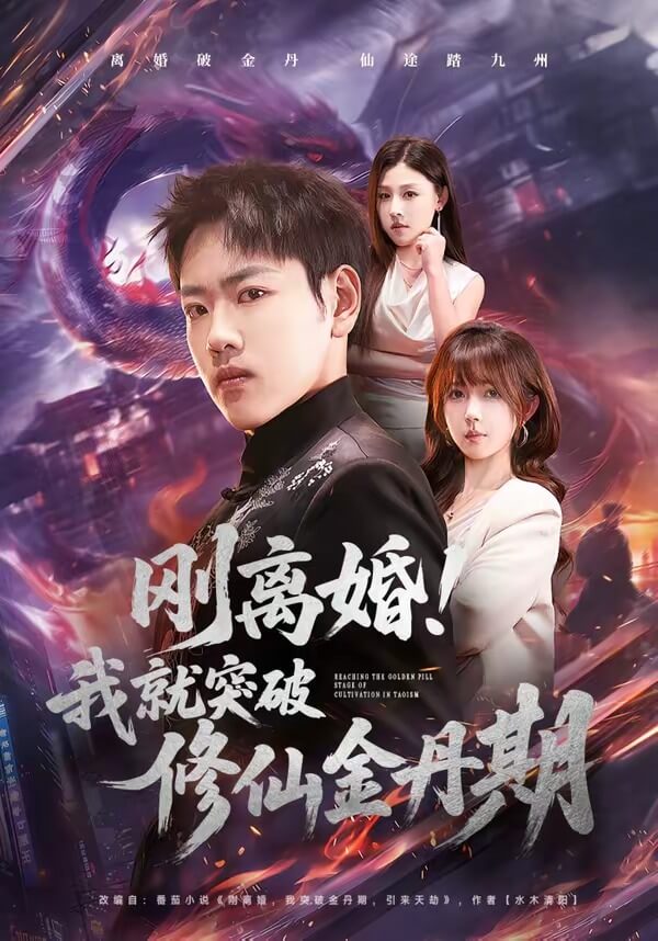 剛離婚!我就突破修仙金丹期