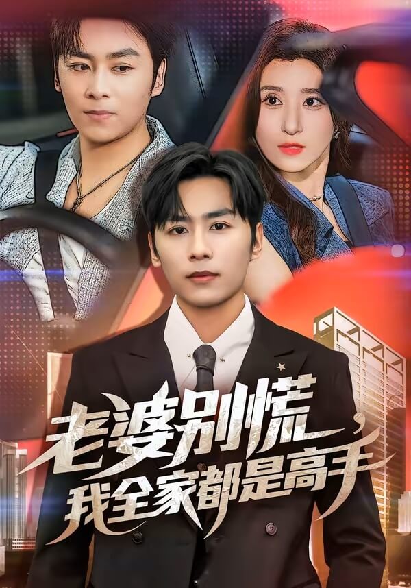 老婆別慌,我全家都是高手