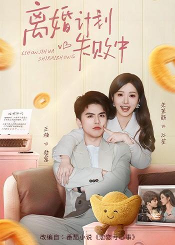 离婚计划失败中
