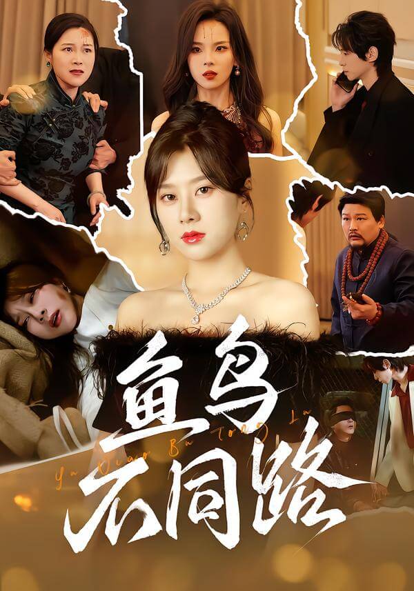 魚鳥不同路