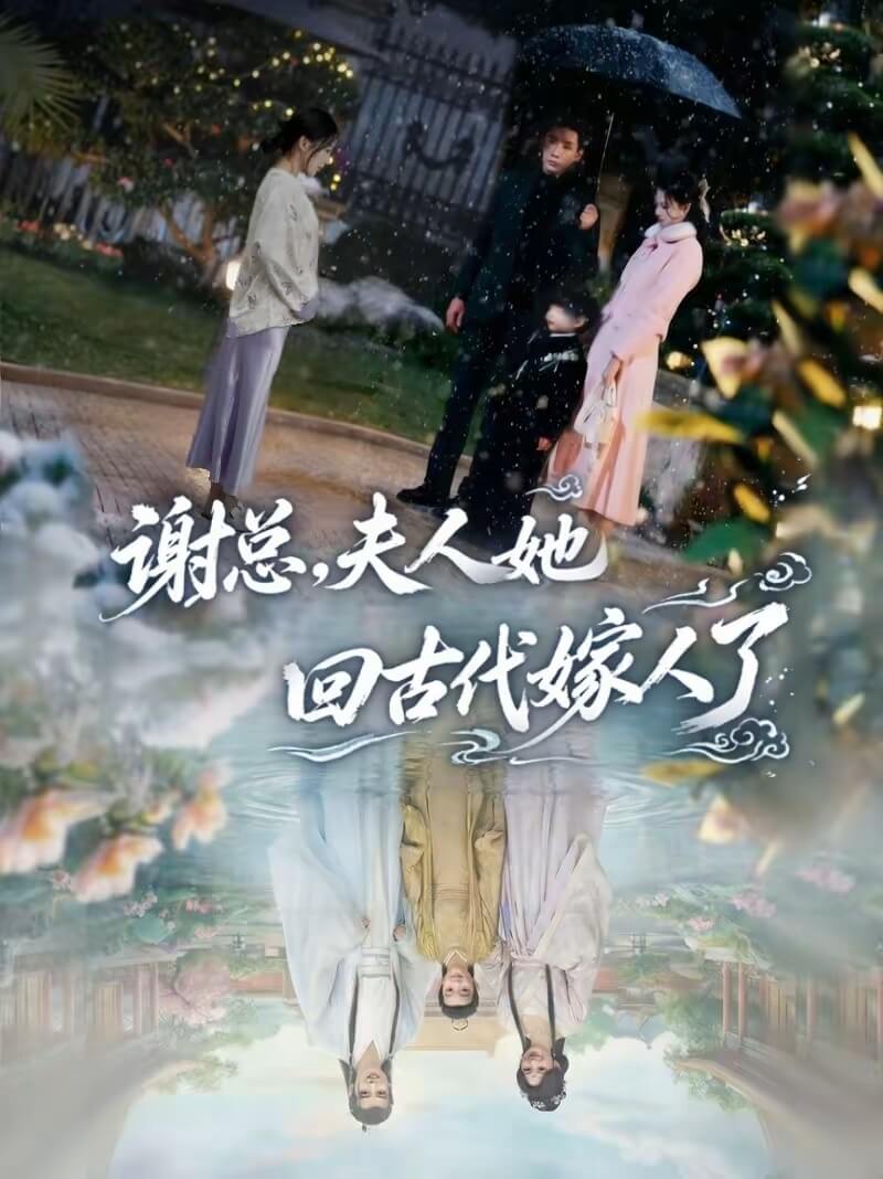 謝總,夫人她回古代嫁人了