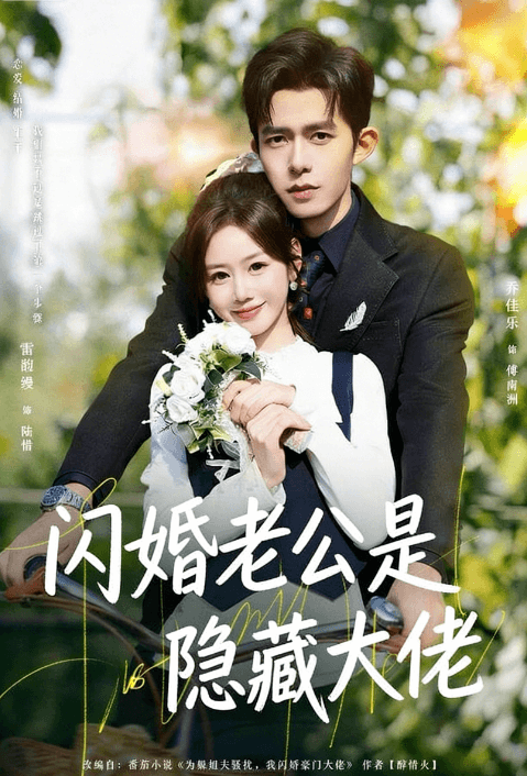 闪婚老公是隐藏大佬