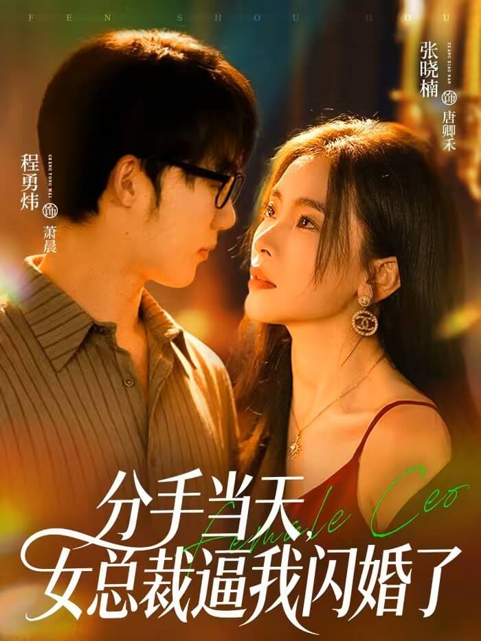 分手當天女總裁逼我閃婚了