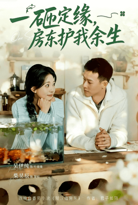 一砸定緣,房東護我余生
